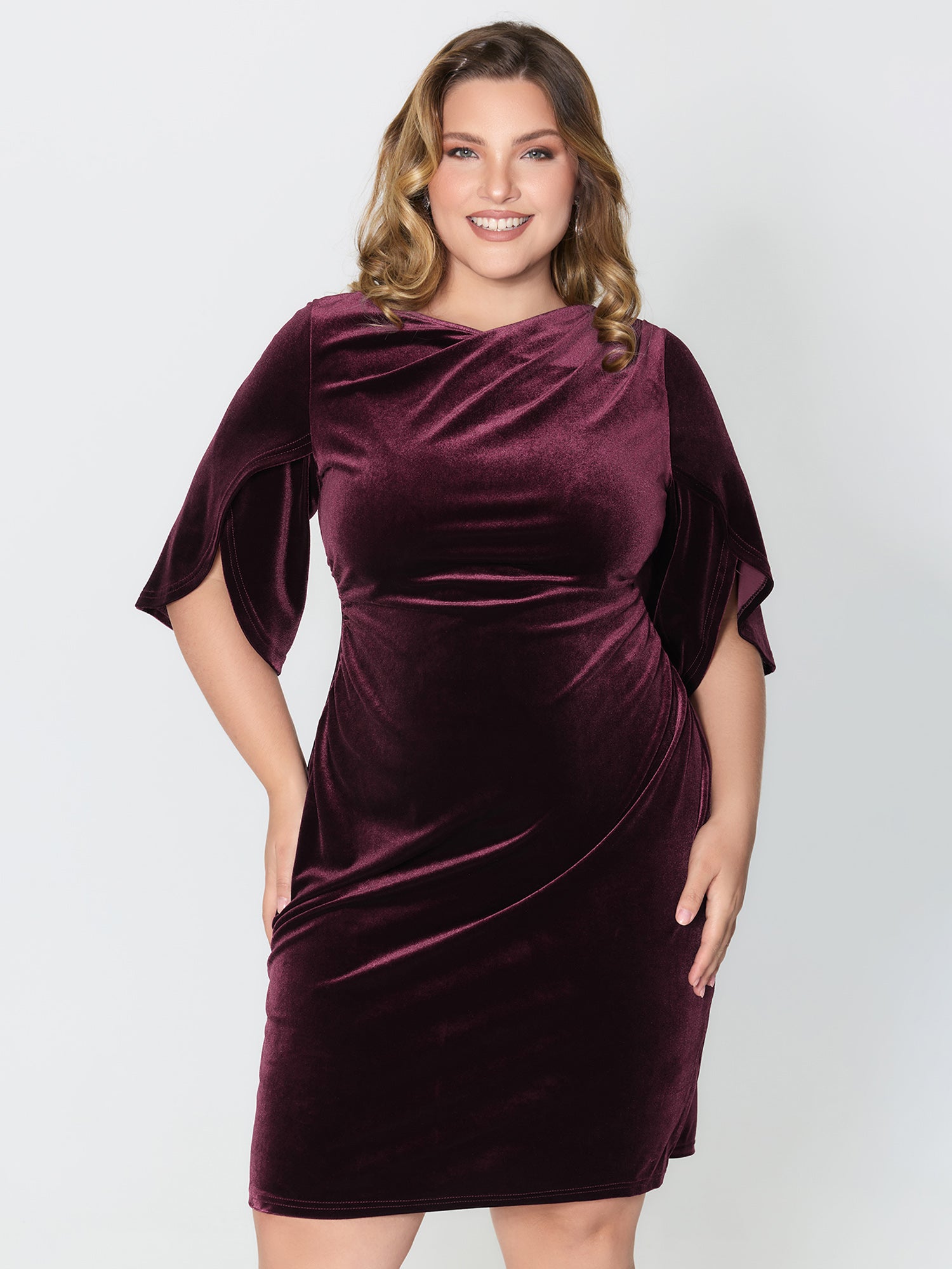 Petal Sleeve Pleated Waist-Defining Midi Dress